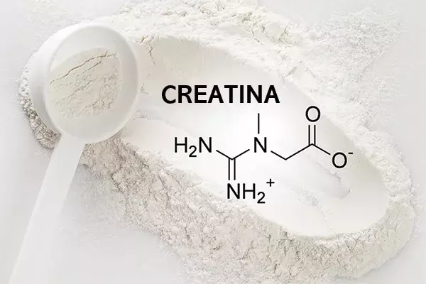 Creatina: O Guia Definitivo (Benefícios, Efeitos Colaterais e Como Usar)